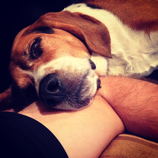 My arm comes in handy as a pillow.