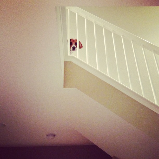 Who, me?