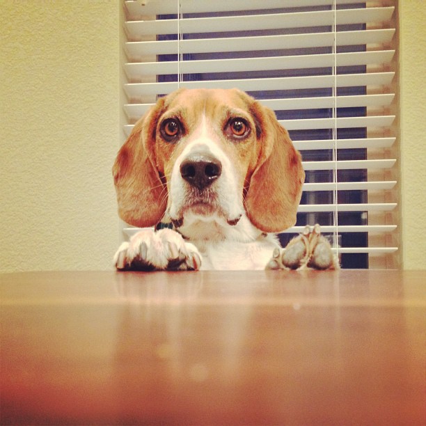 But I'm hungry!