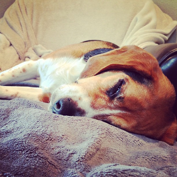 Best part of working from home.