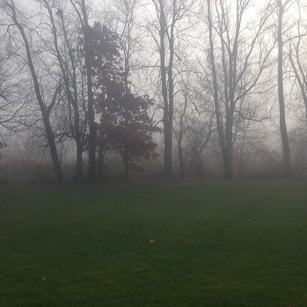 Fog #nofilter