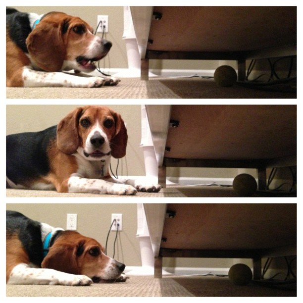 Are you going to help me?