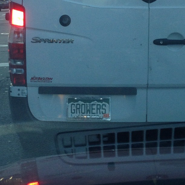 You can't escape pot culture in Colorado.