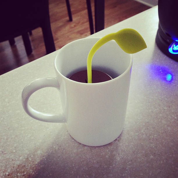 About to grow some afternoon tea.