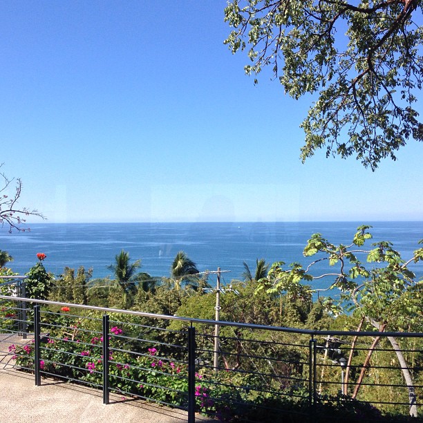 Elliptical machine with this view? Yes please!