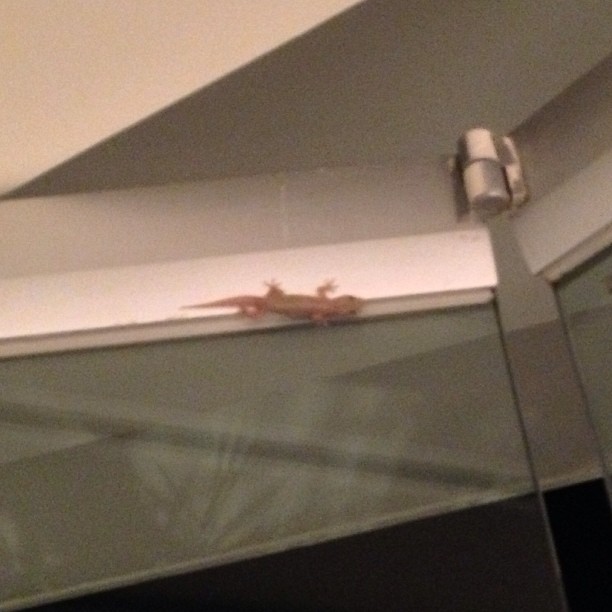 My new roommate.