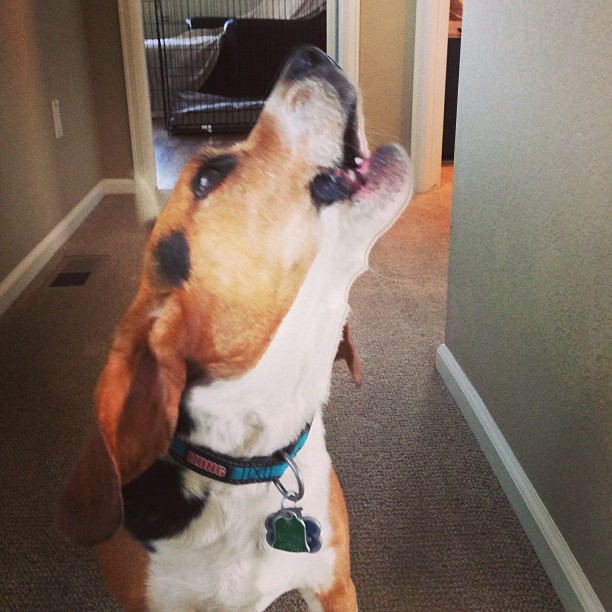 Jasper announces he's awake.