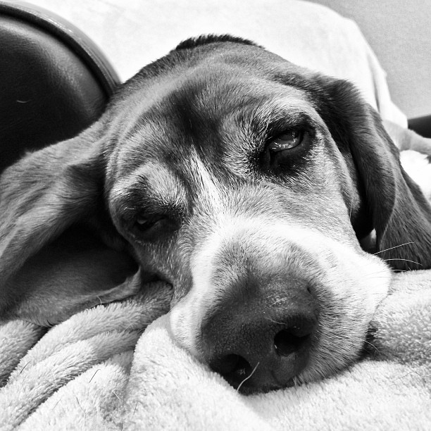 Sleepy