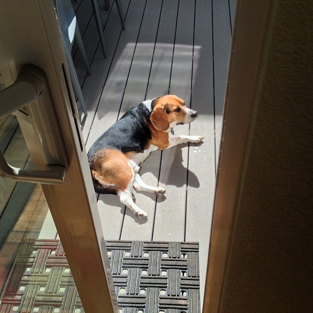 Someone is ready for summer.