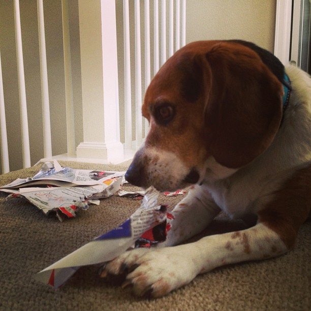 Jasper is anti-unions. That was a union newsletter before he ripped it to shreds.