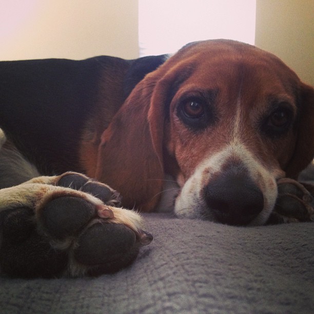 Someone is sad that I'm leaving him again.