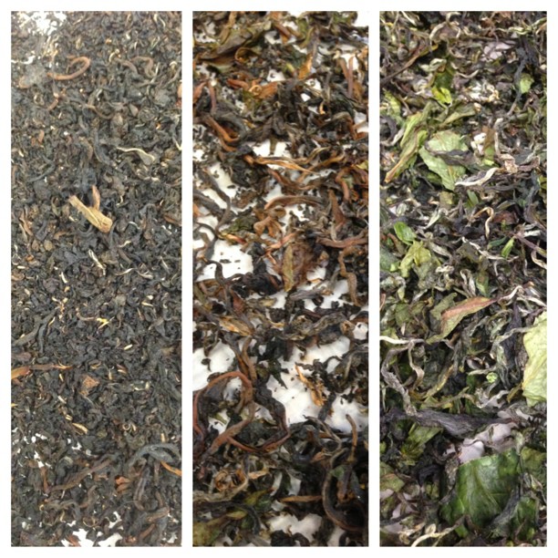 Our finished black, oolong and green teas. They turned out better than we expected but Las Vegas is definitely not a good place to make tea.