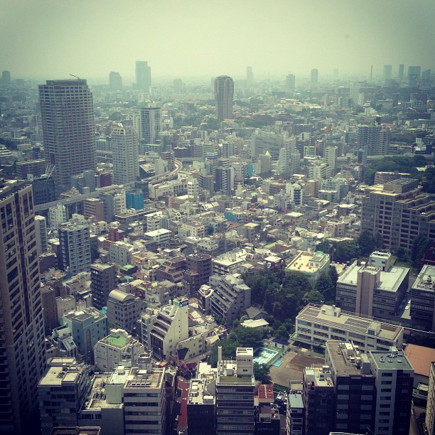 The view from the top.
