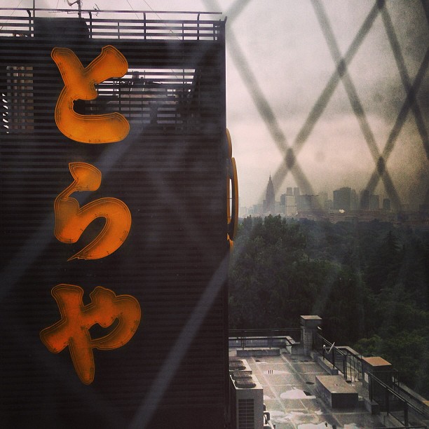 The view from my window, with the Tokyo skyline in the background.