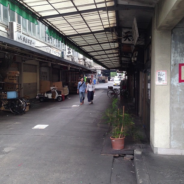 We came to the famous Tokyo fish market only to discover it is mostly closed today.