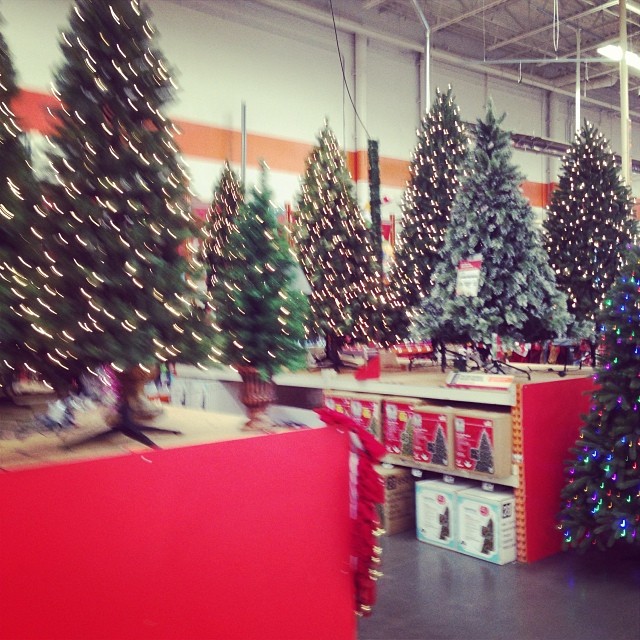 Merry Christmas!