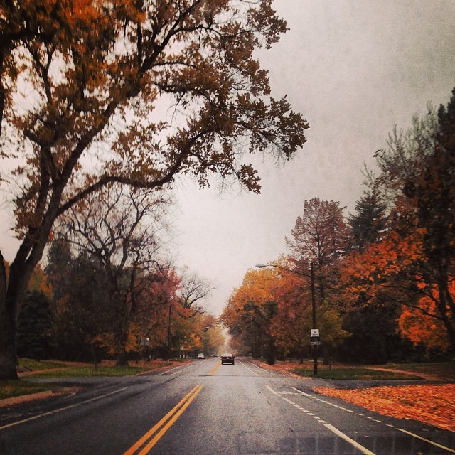 Goodbye autumn.