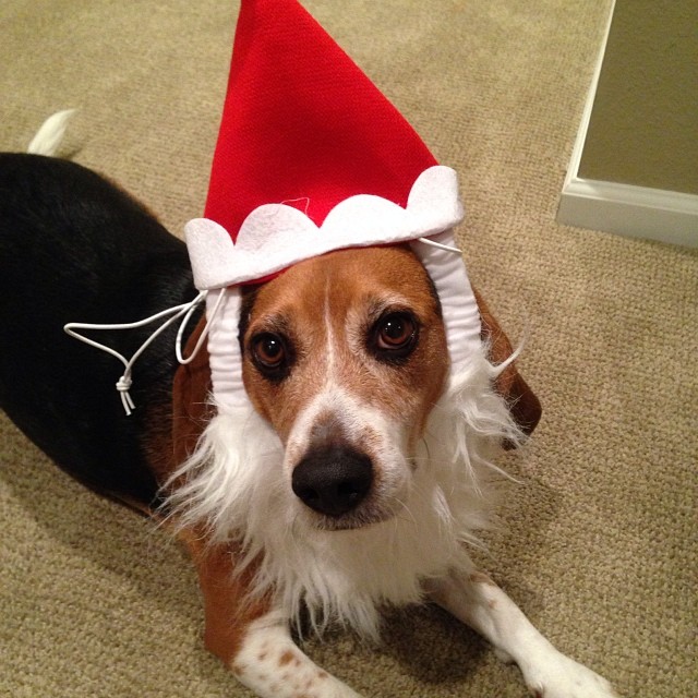 A preview of the 2013 Christmas card.