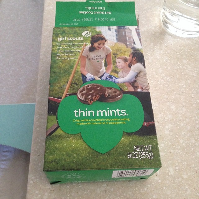 The hidden dangers of living in my neighborhood. Pulling into my alley I saw a Girl Scout selling cookies. I didn't even need to get out of my car.