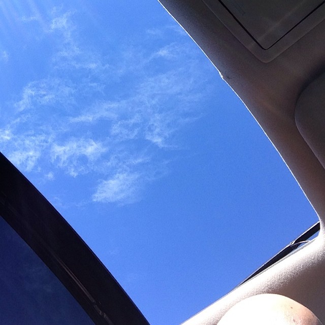 54 degrees and blue skies.