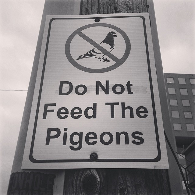 Do not feed the pigeons.