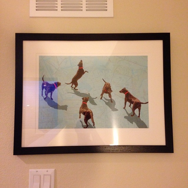 New art hung. I'm calling it "Leah" after our chocolate lab growing up in Vicksburg, a map of which, ironically, is in the background.