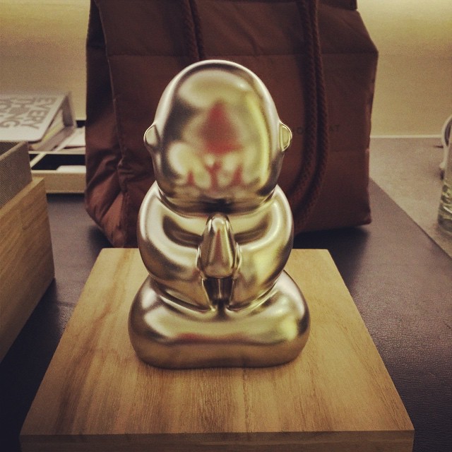 Bringing home this little guy. And macarons.