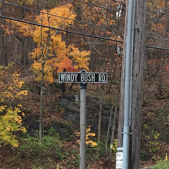 Beautiful fall day in New Hope.