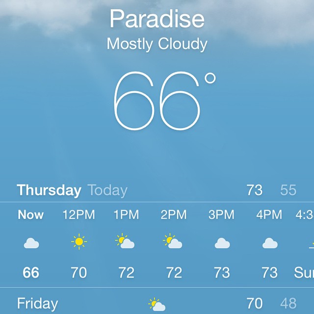 Really cold here today. Brrrr