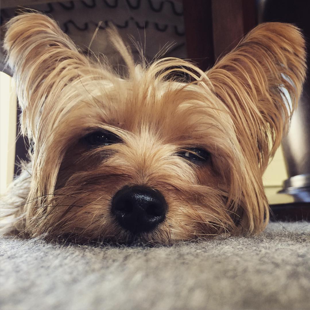 #crouton