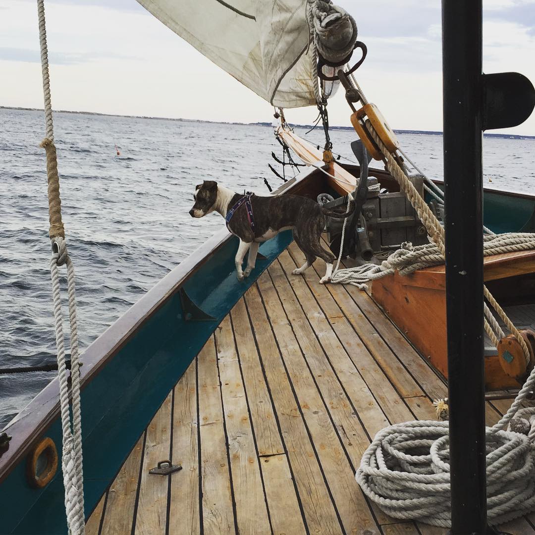 Captain Finn