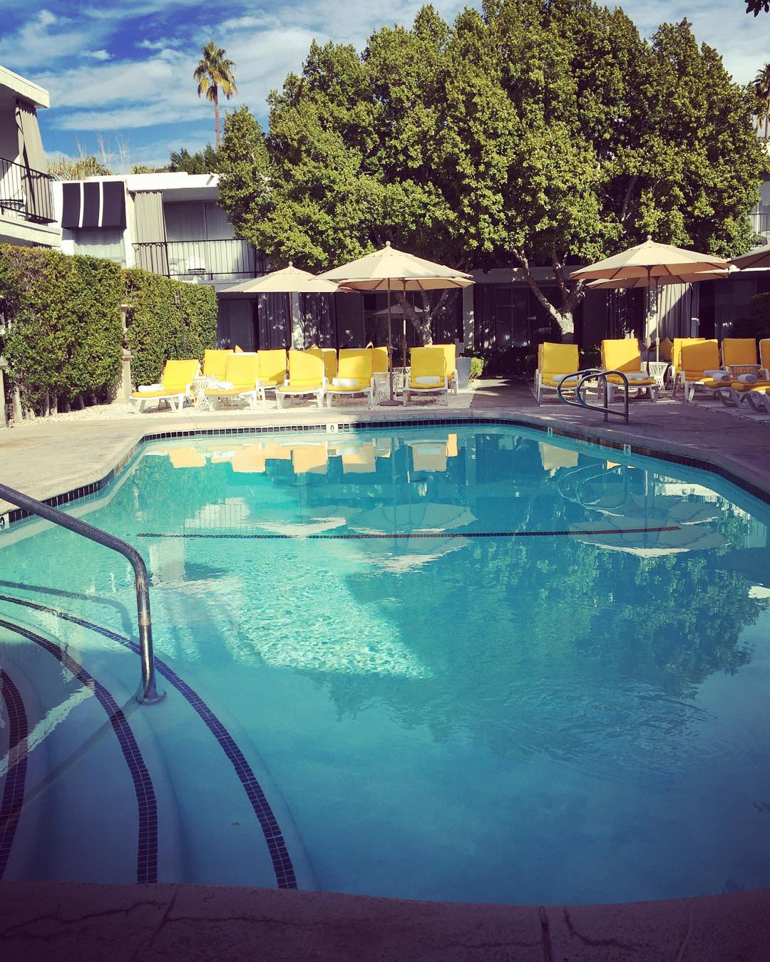 Last brunch in Palm Springs, poolside.