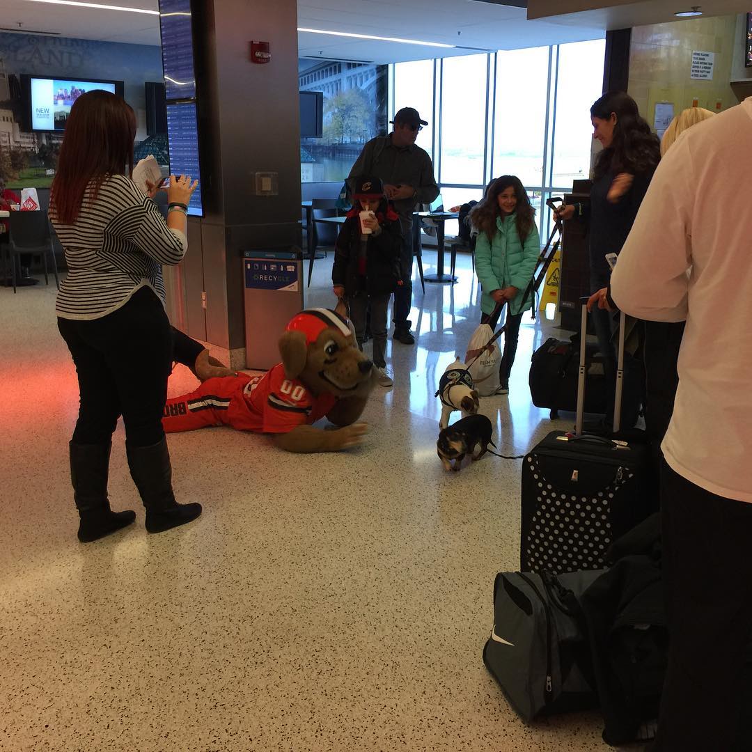 Ohio has gone to the dogs.