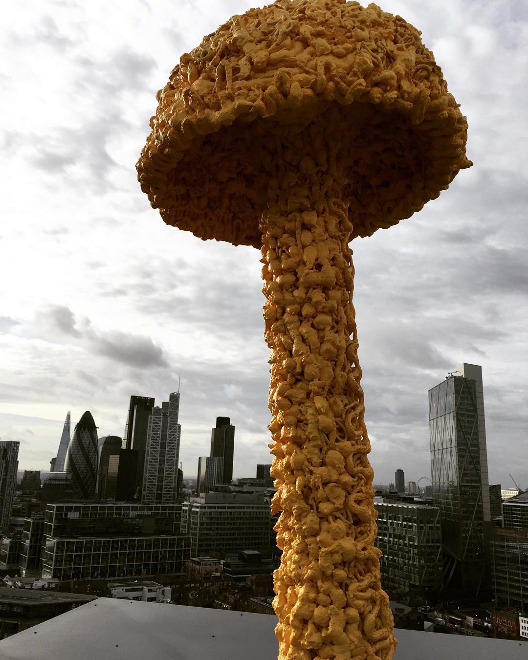 Mushroom art on a friend's roof.
