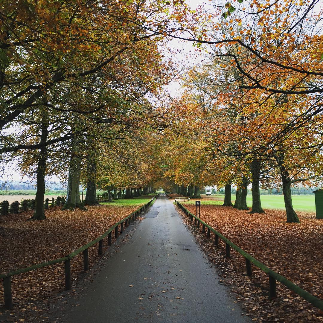 Autumn
