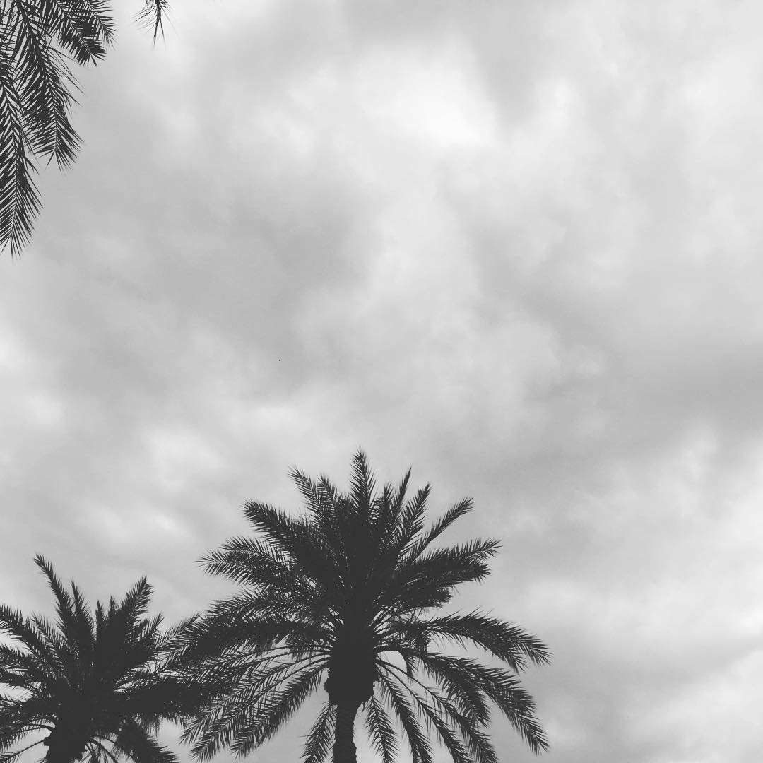 The sun is hiding yet we're still at the pool.