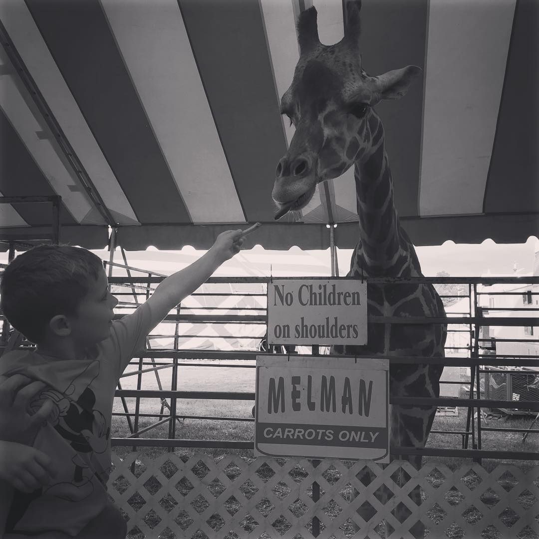 Bryden feeding the giraffe. Doesn't every fair have a giraffe?