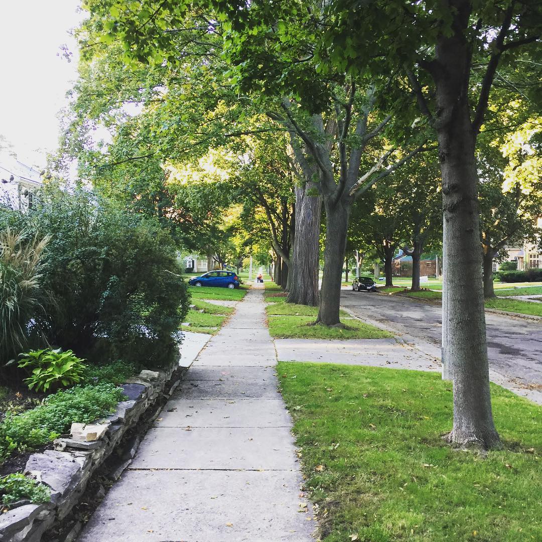 Morning walk to school.