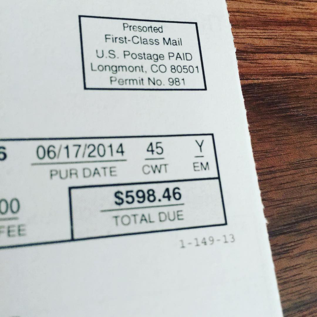What I pay annually for the privilege to renew my license plates. Ouch.