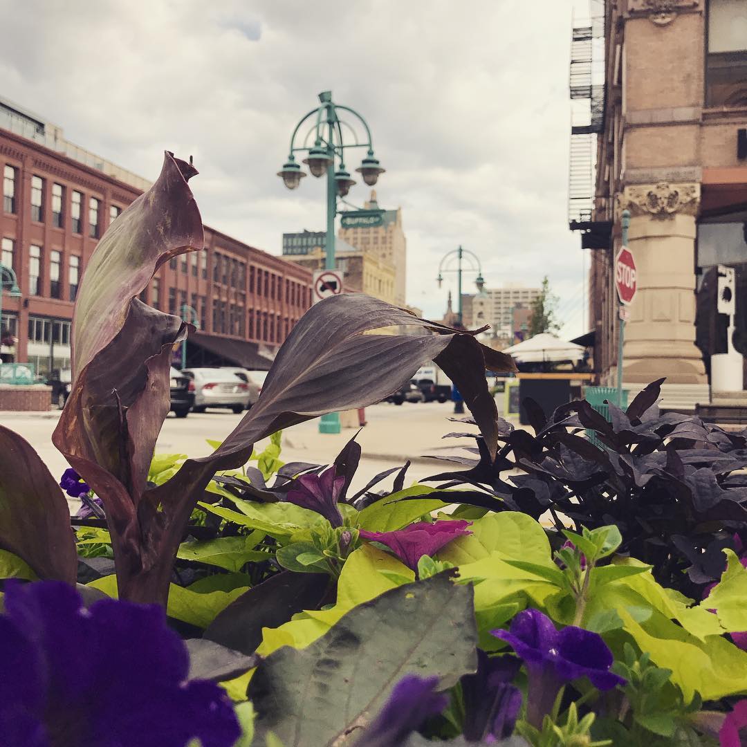 Working from the Third Ward today.