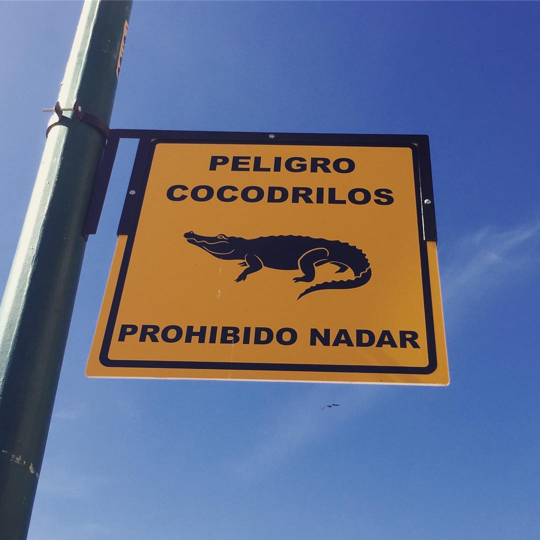 Por qué estudio español con @hellospanish!!!