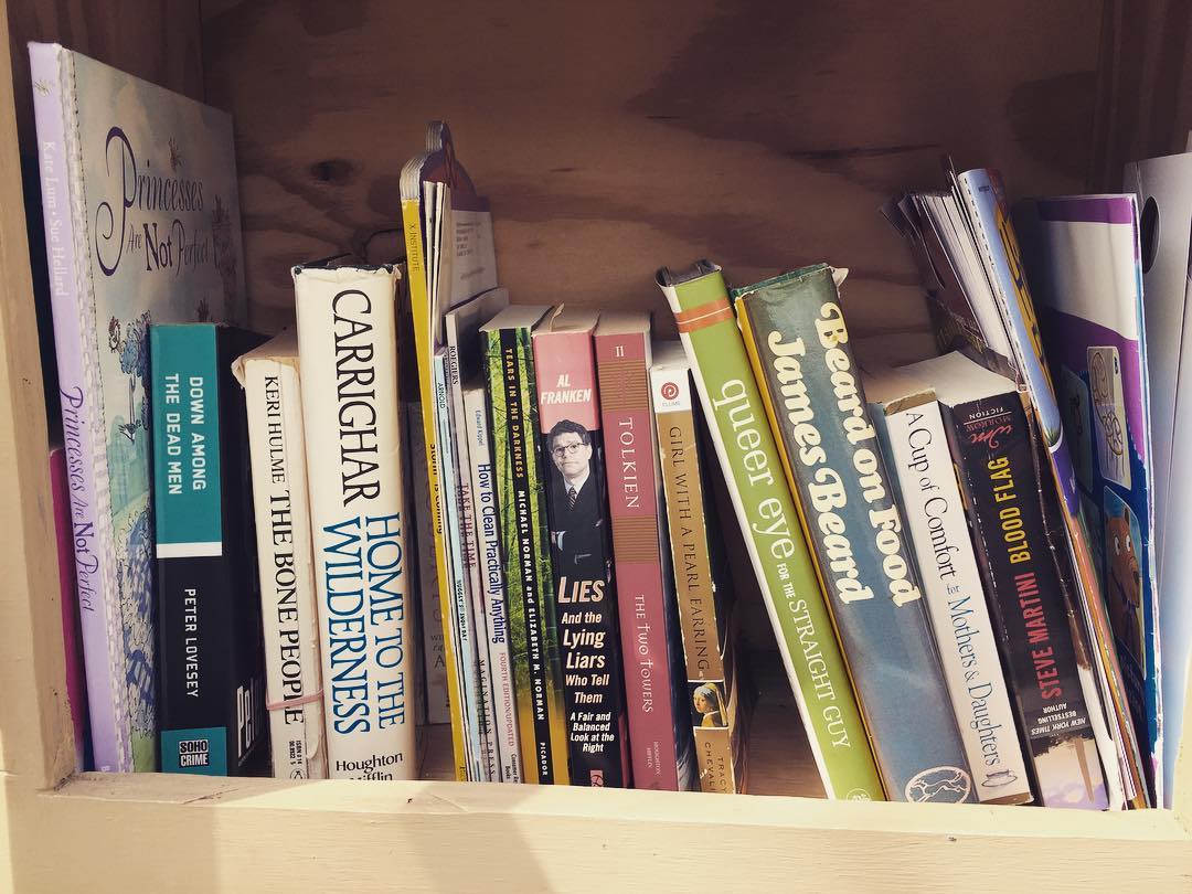 Just your normal suburban Milwaukee Little Free Library collection.