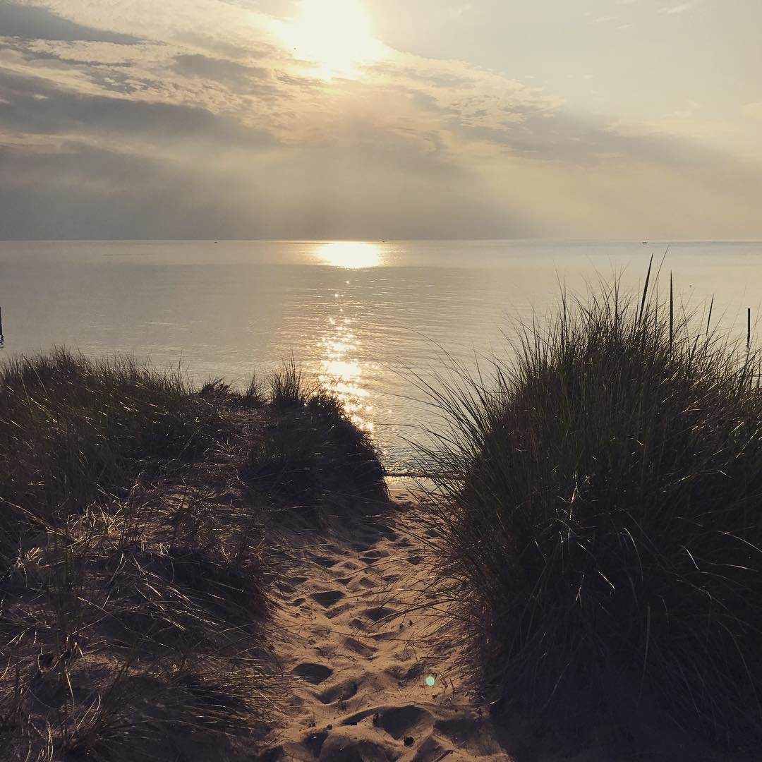 Summer is fading...