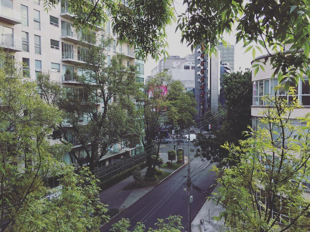 We have arrived to our Polanco apartment. #40
