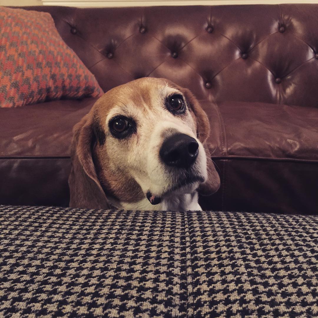 Just hanging out
