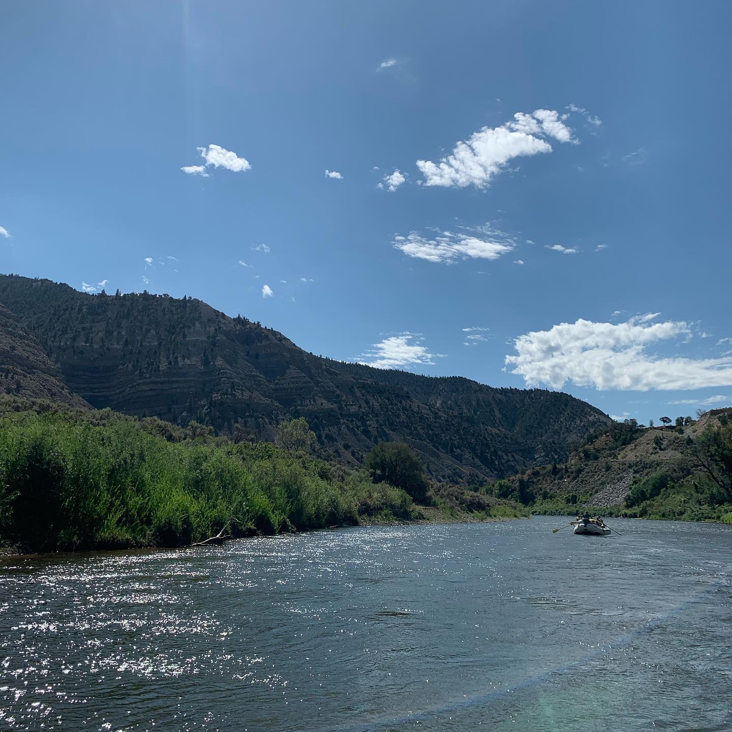 Rafting down the Colorado.