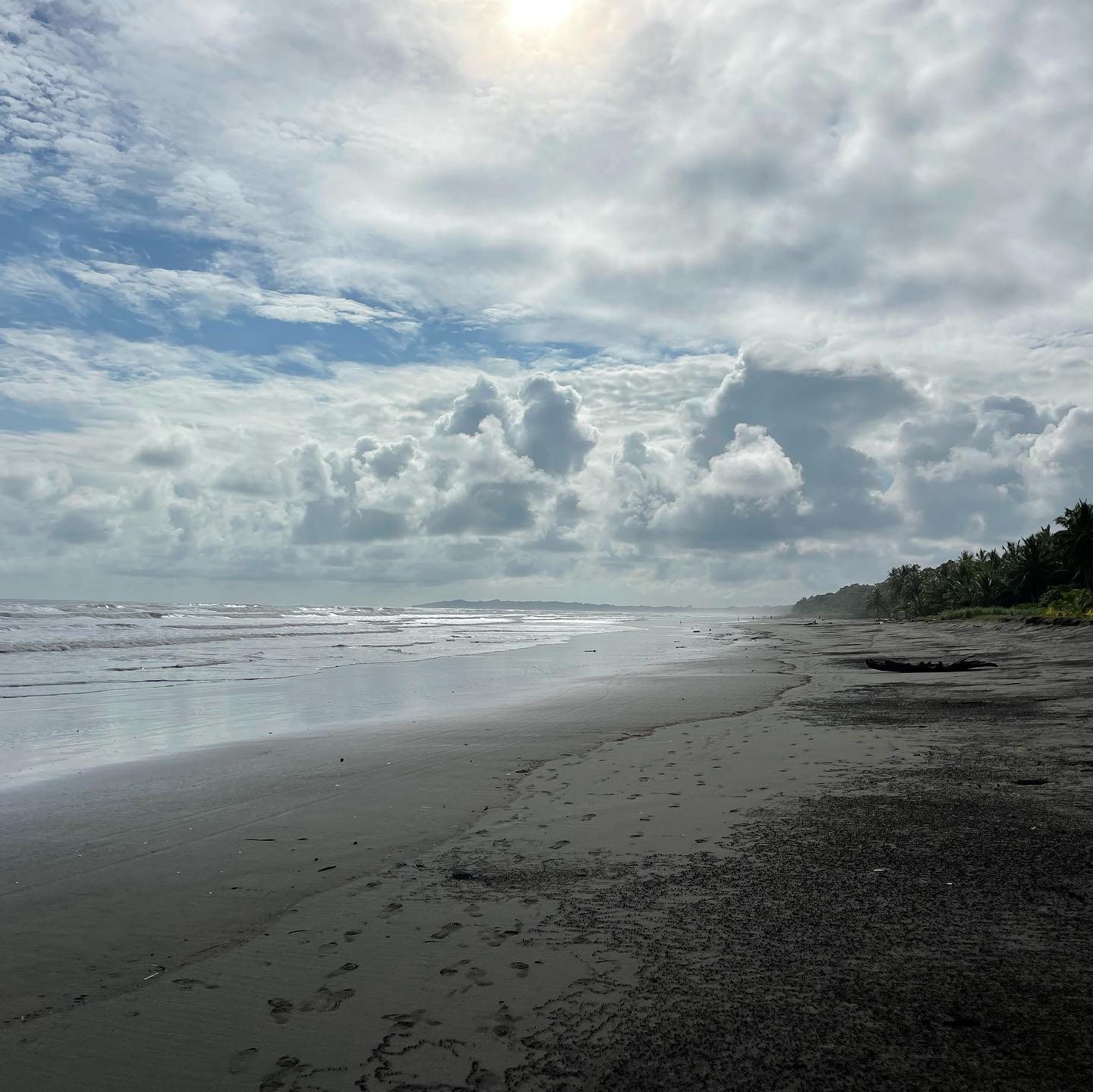 In January, my friend @purajadon and I were aimlessly wandering around Costa Rica. After making a random, and unexpected turn onto a stunning, remote beach, we saw a condo for sale. 

Two days later, 