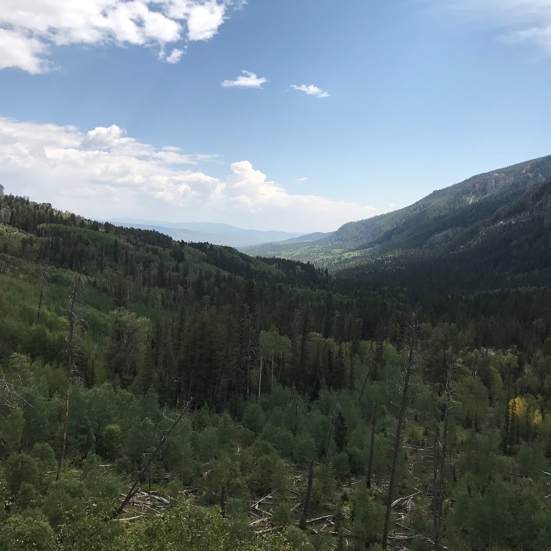 8.5 mile hike. Exhausted.