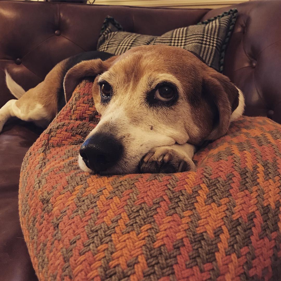 Lazy Friday night in.