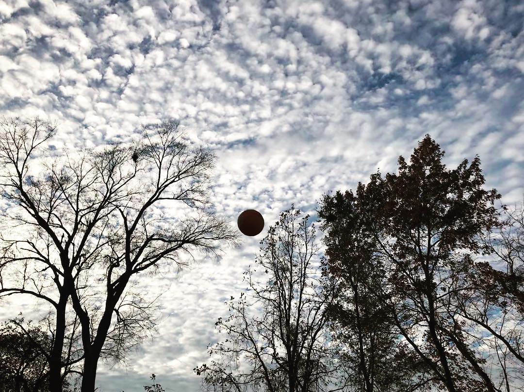 Post-dinner basketball tournament.